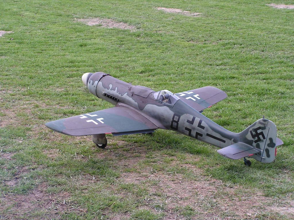 06