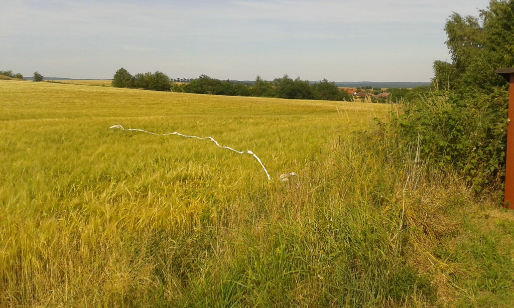 20140704_163108